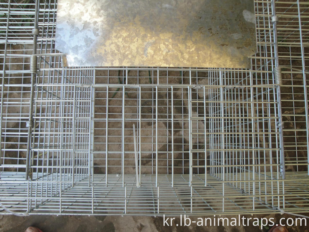 살아있는 동물 인도 트랩 케이지 캐치 및 방출 쥐 마우스 마우스 설치류 케이지